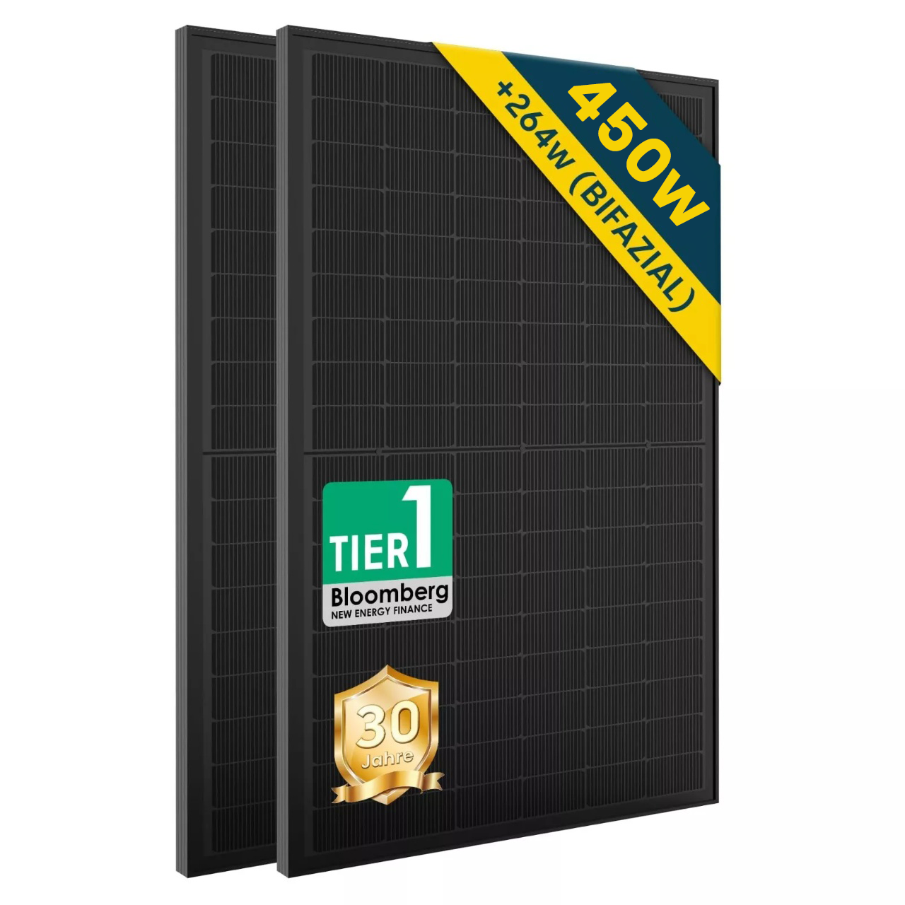ALLDREI 450W Bifazialer Glas-Glas Solarmodule