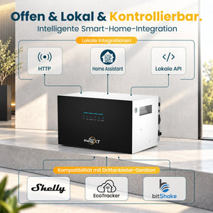 sunenergyxt-500-smart-home-integration-home-assistant-lokale-api